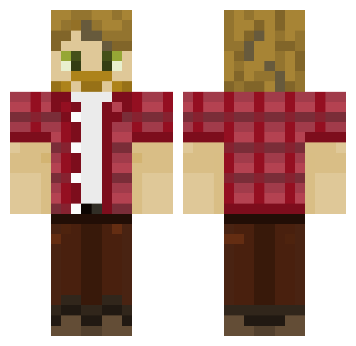 SBSTN_BRD_2611 Minecraft skin, front and back view