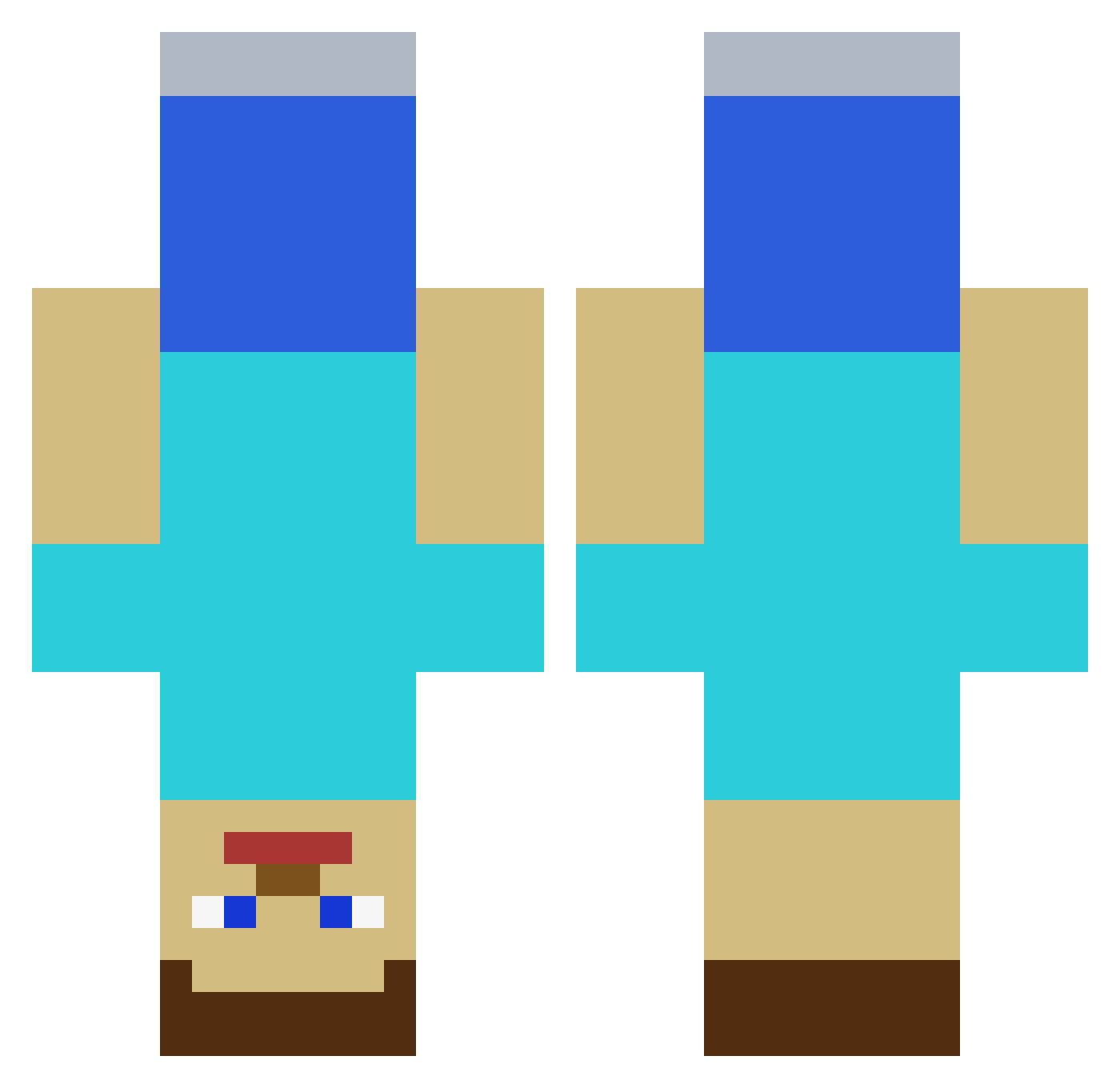 AH5981 Minecraft skin, front and back view