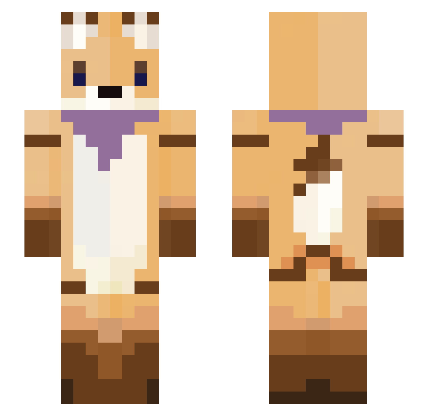 Acer Minecraft skin, front and back view
