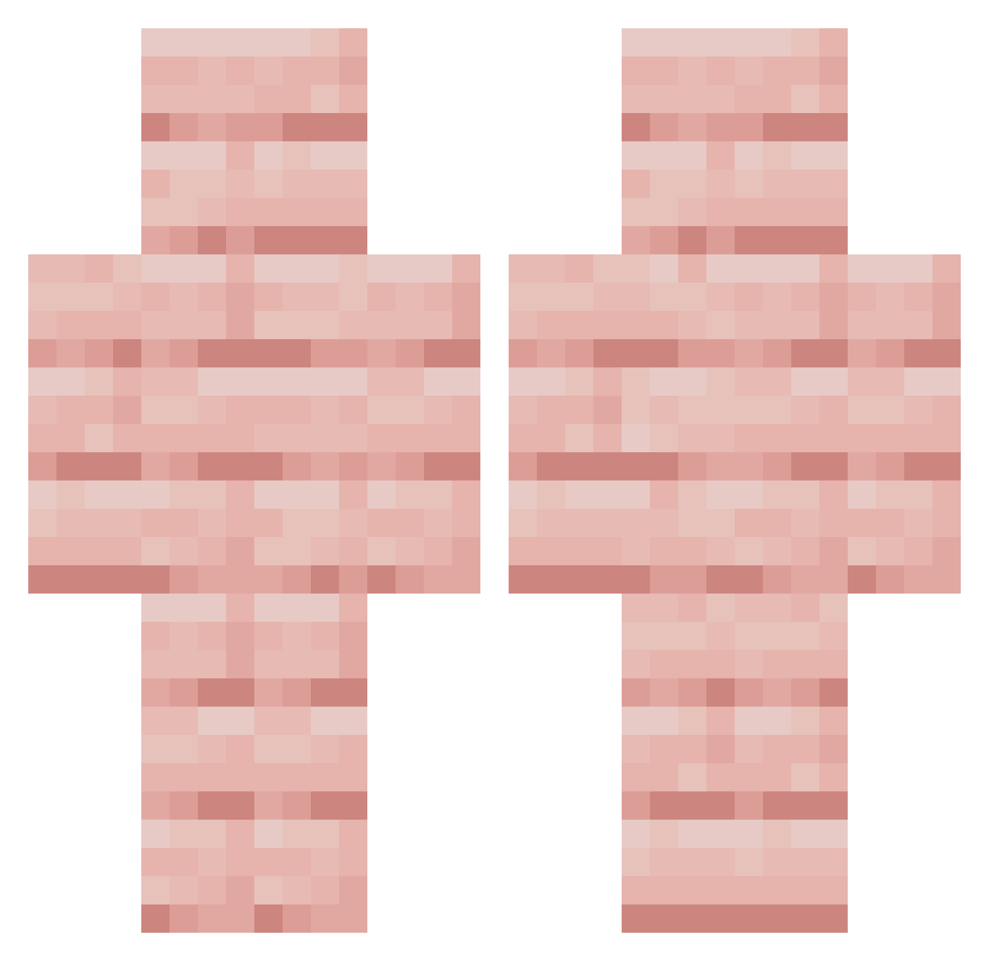 vnenus Minecraft skin, front and back view