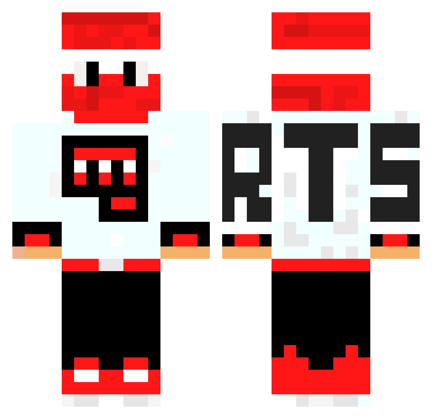 6176 Minecraft skin, front and back view