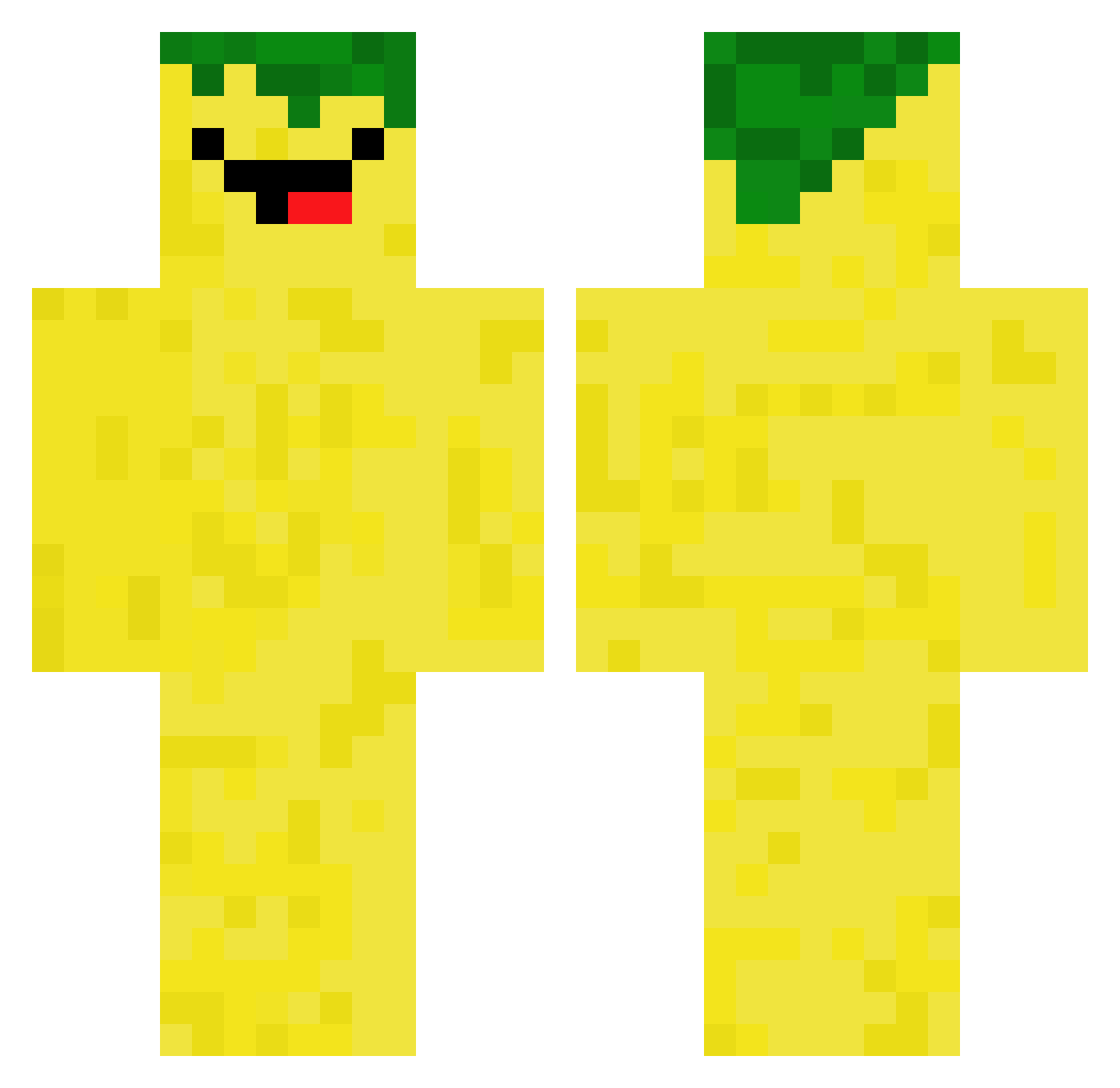 heycitrus Minecraft skin, front and back view