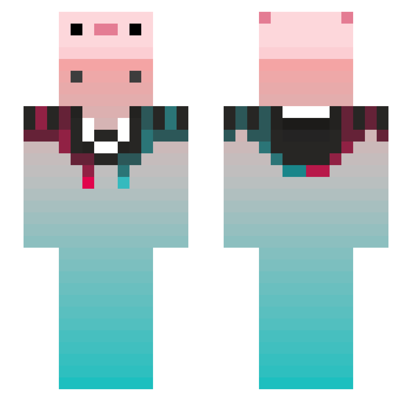 Raillows Minecraft skin, front and back view