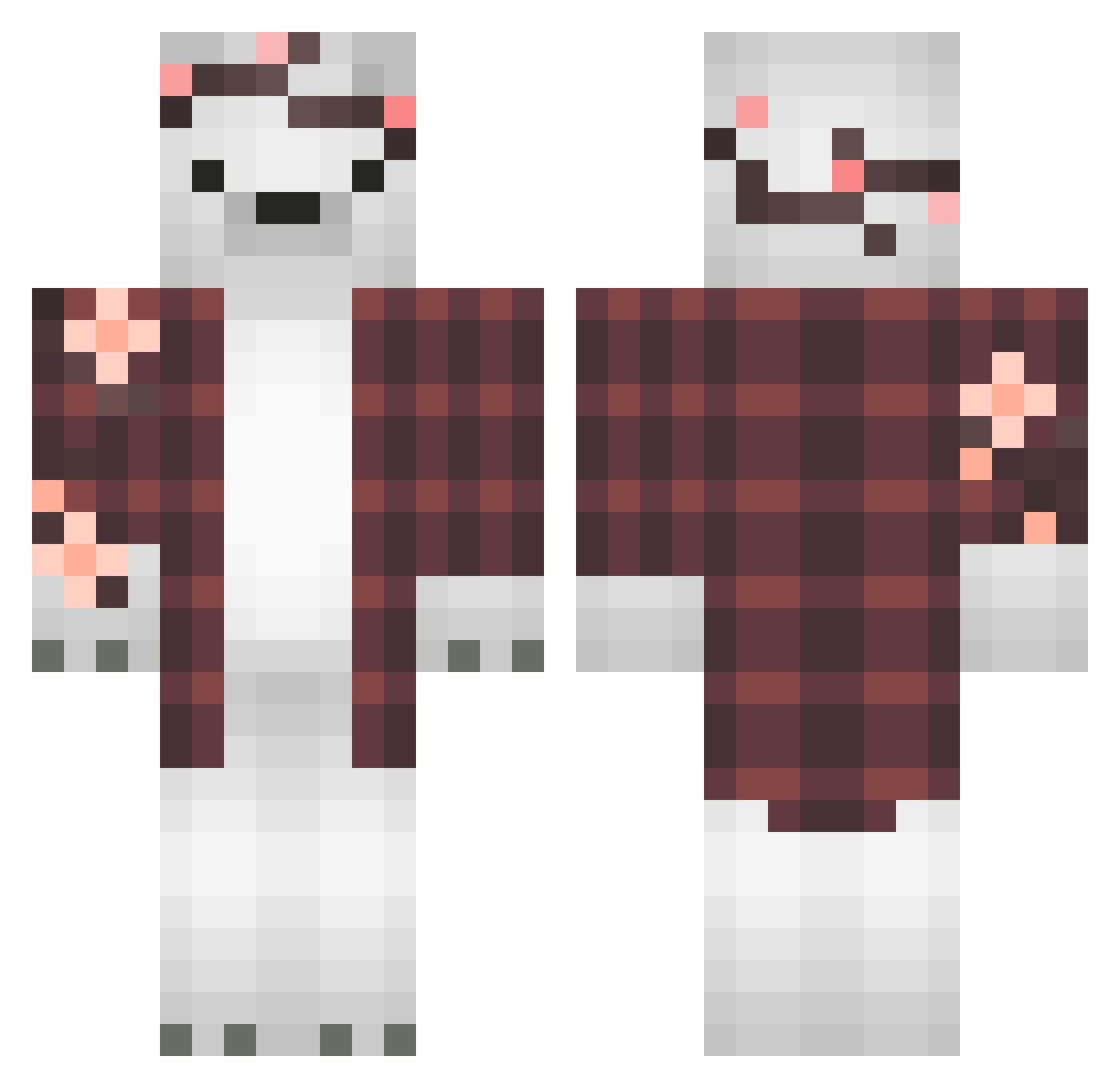 nipeZ_ Minecraft skin, front and back view