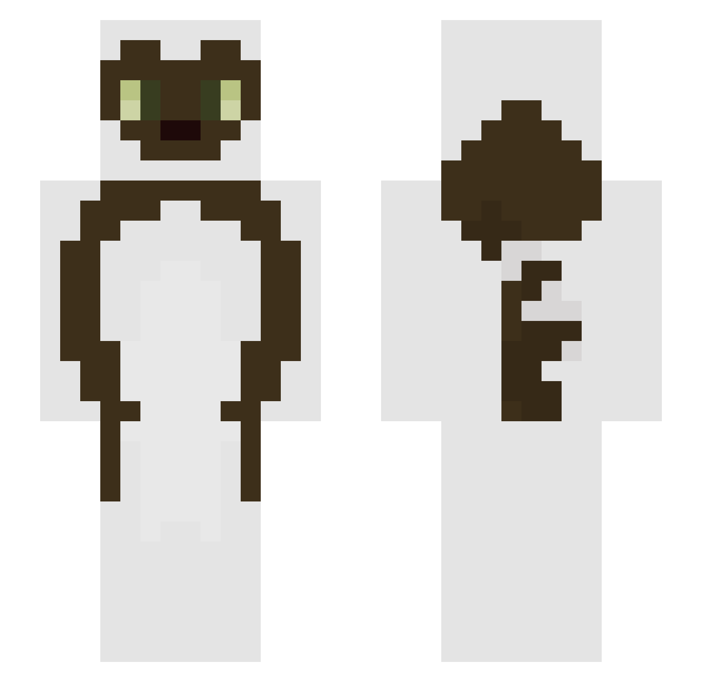 Thoovs Minecraft skin, front and back view