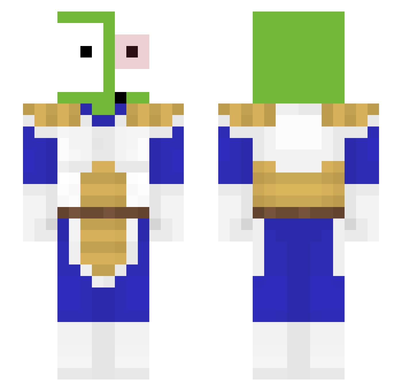 1012398 Minecraft skin, front and back view
