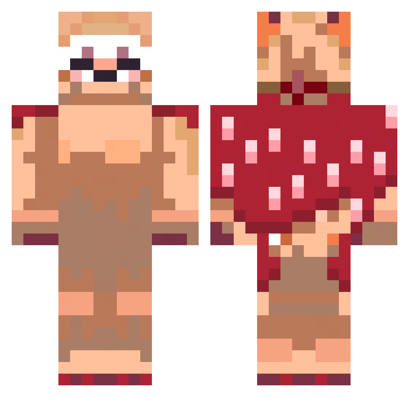 skaitr Minecraft skin, front and back view