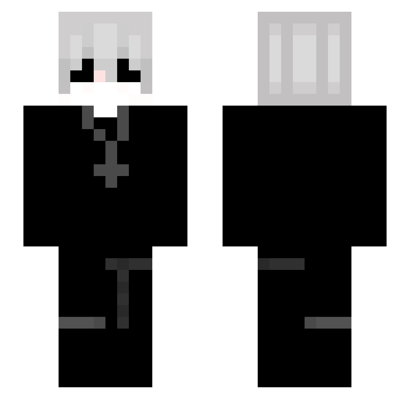 113tsd Minecraft skin, front and back view
