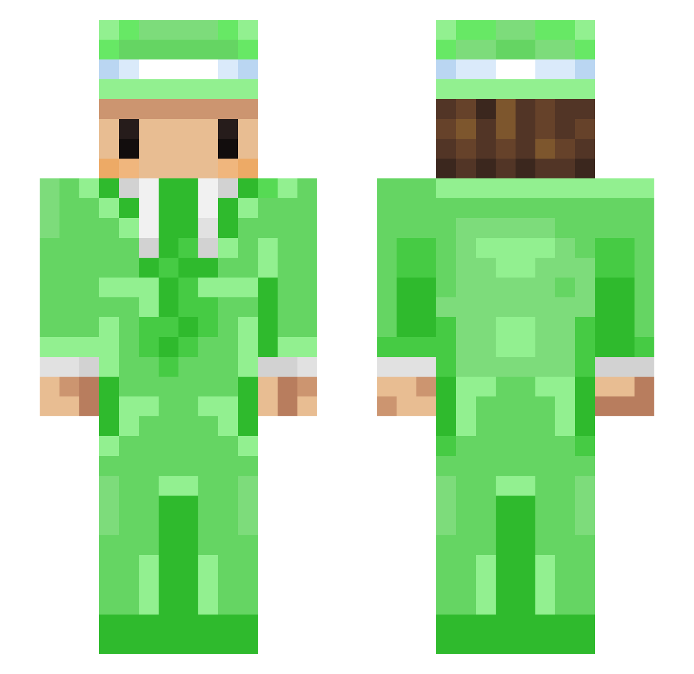 qKiwi Minecraft skin, front and back view