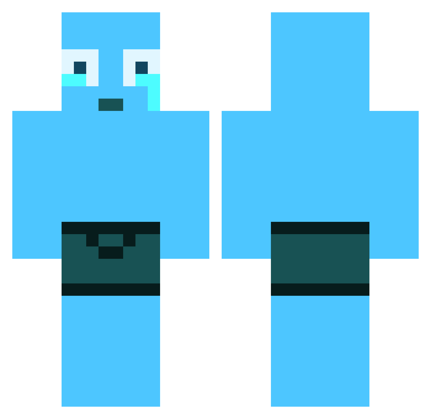 DDMS Minecraft skin, front and back view