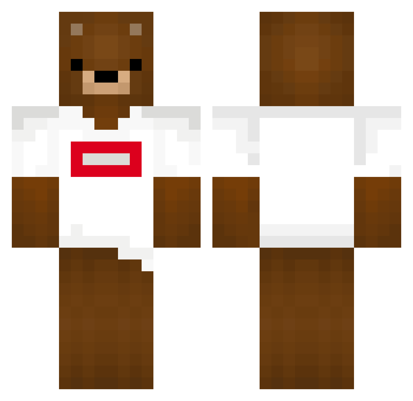 TidesYZFR Minecraft skin, front and back view