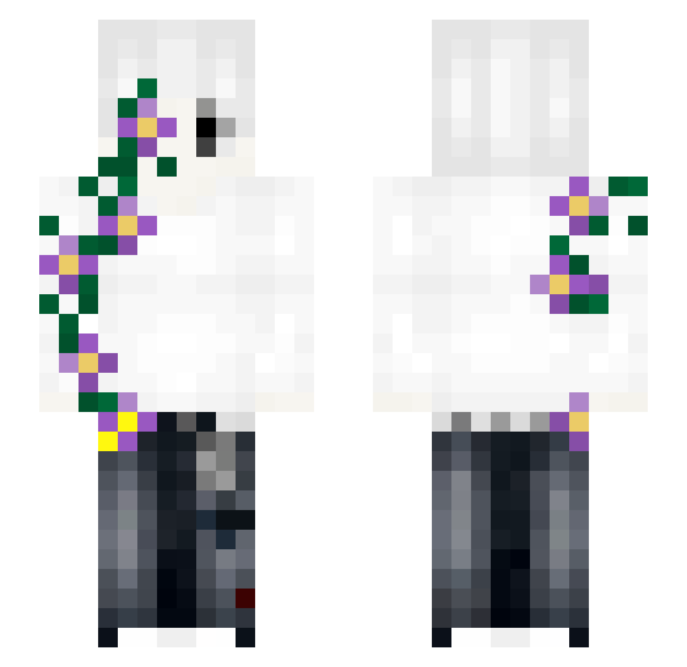 Bin_go1 Minecraft skin, front and back view