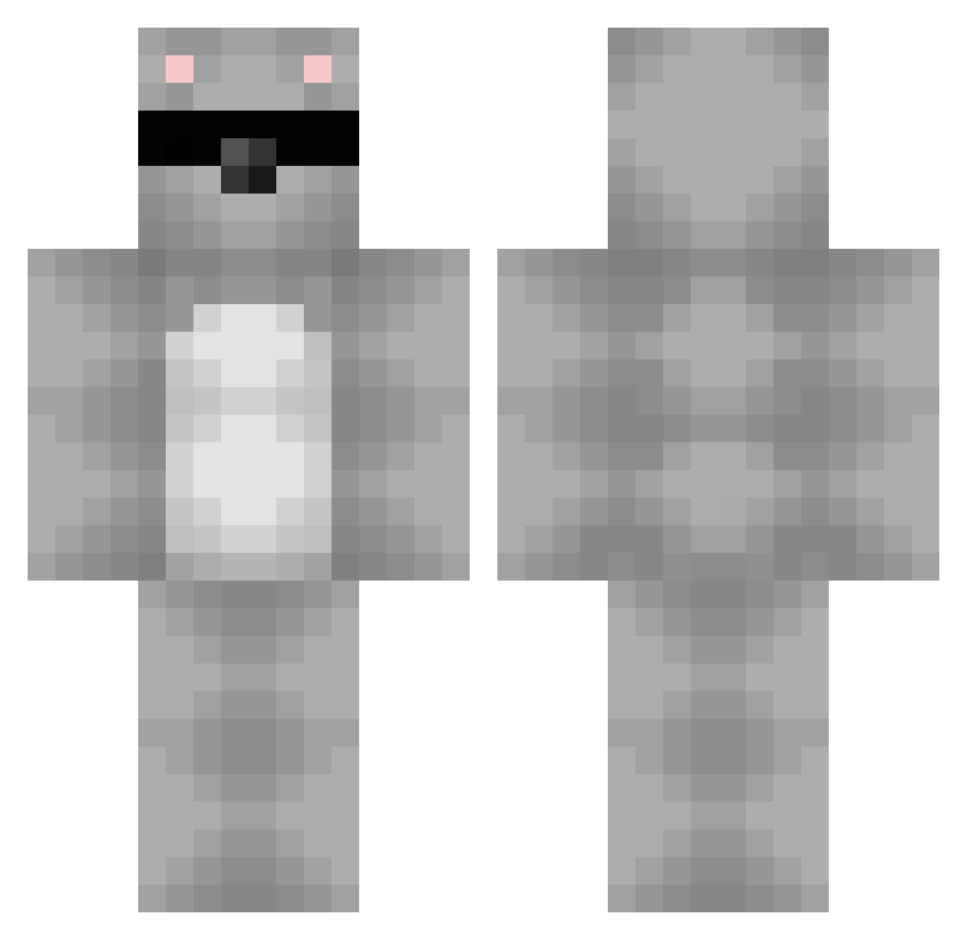 Koalisse Minecraft skin, front and back view