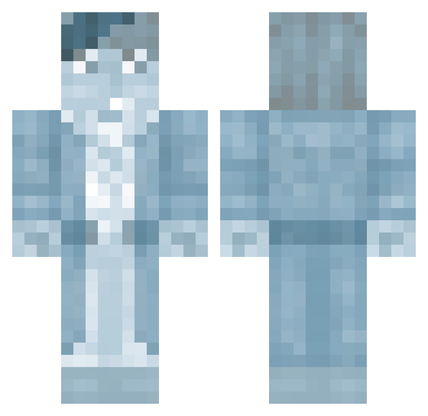 Activism Minecraft skin, front and back view