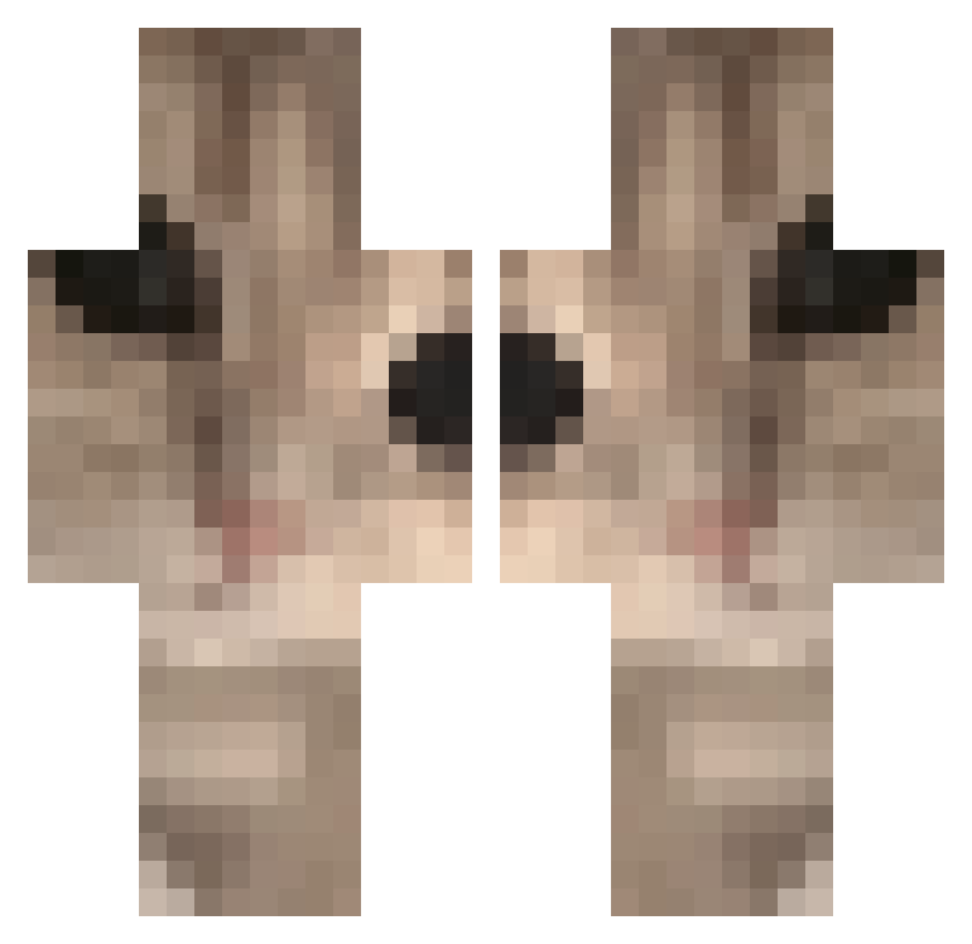 Larvi_v2 Minecraft skin, front and back view