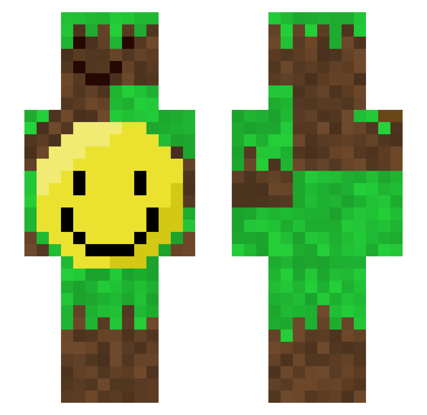 axuxon Minecraft skin, front and back view