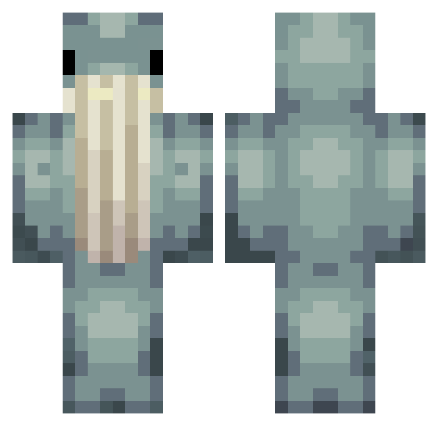 pleut23 Minecraft skin, front and back view