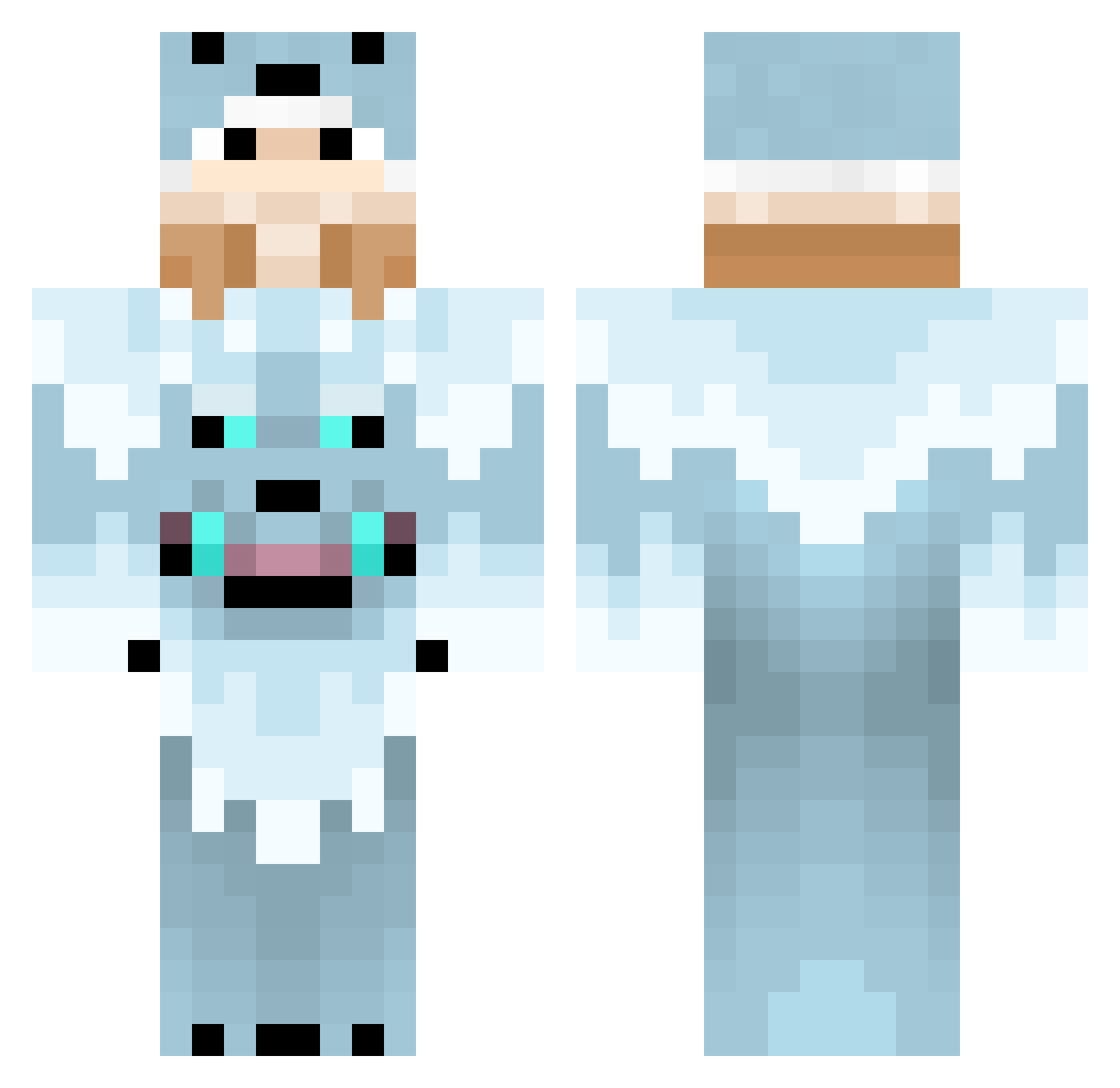 Taxaneh Minecraft skin, front and back view