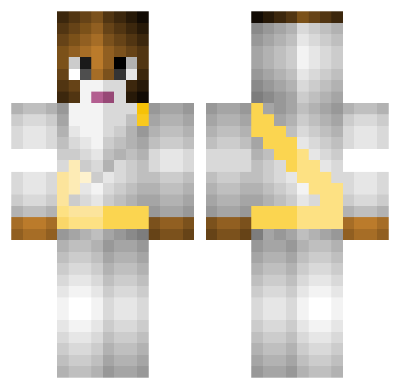 Anidraw Minecraft skin, front and back view