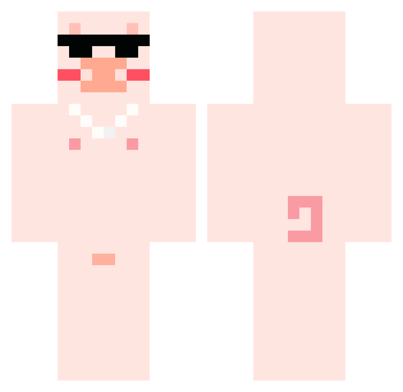 PD_Podal Minecraft skin, front and back view