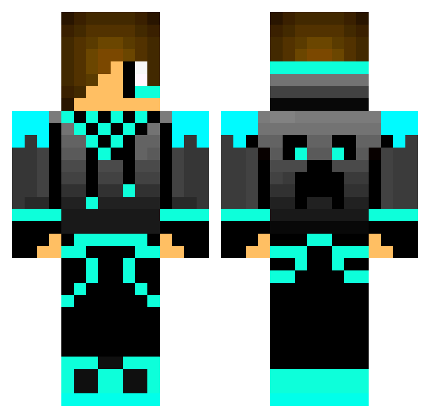 palliser Minecraft skin, front and back view