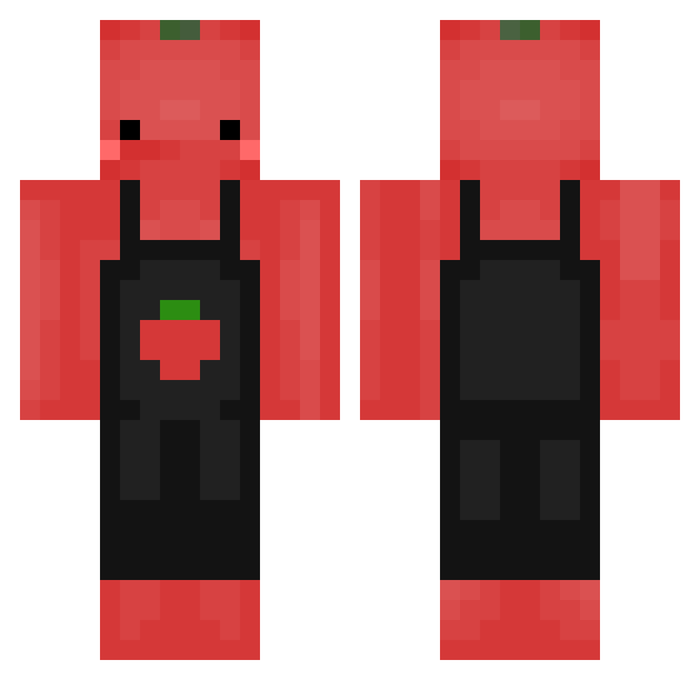 gkmhome377 Minecraft skin, front and back view