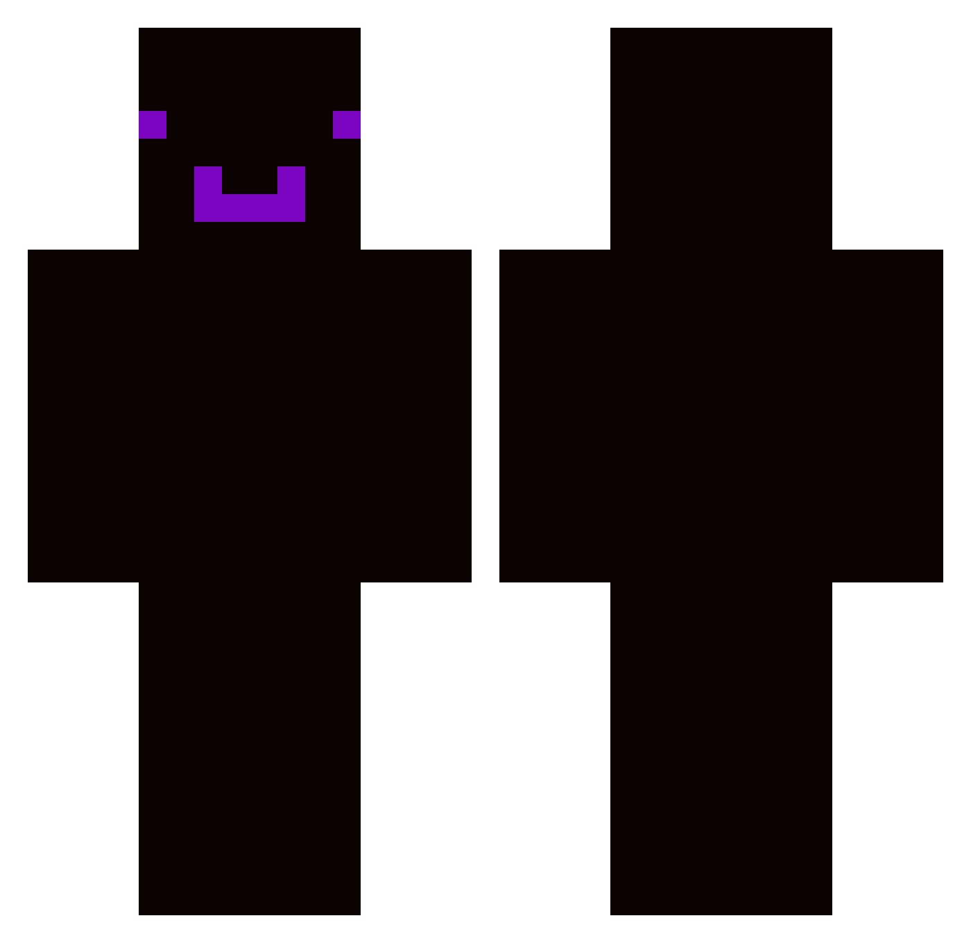 Mr1x1 Minecraft skin, front and back view