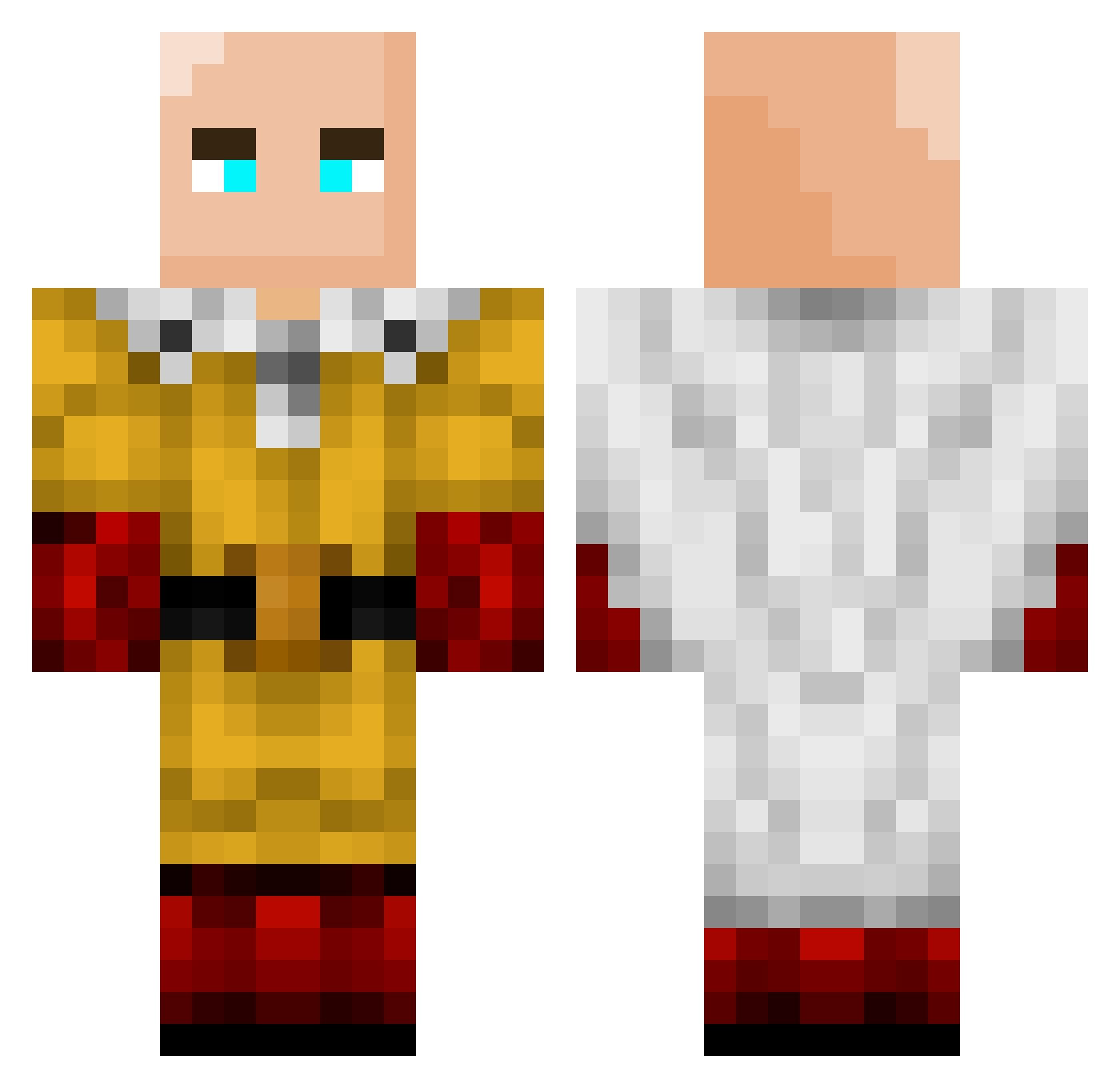 AfraidLion269 Minecraft skin, front and back view