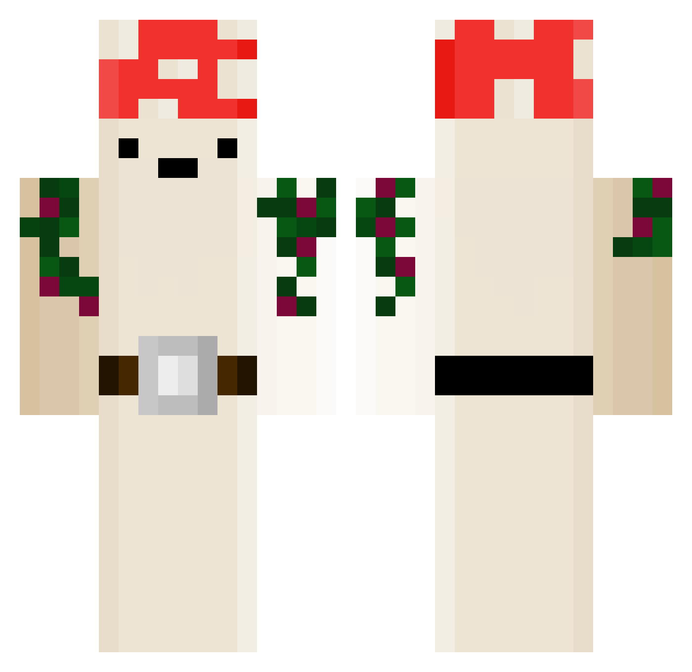 my_corrot Minecraft skin, front and back view