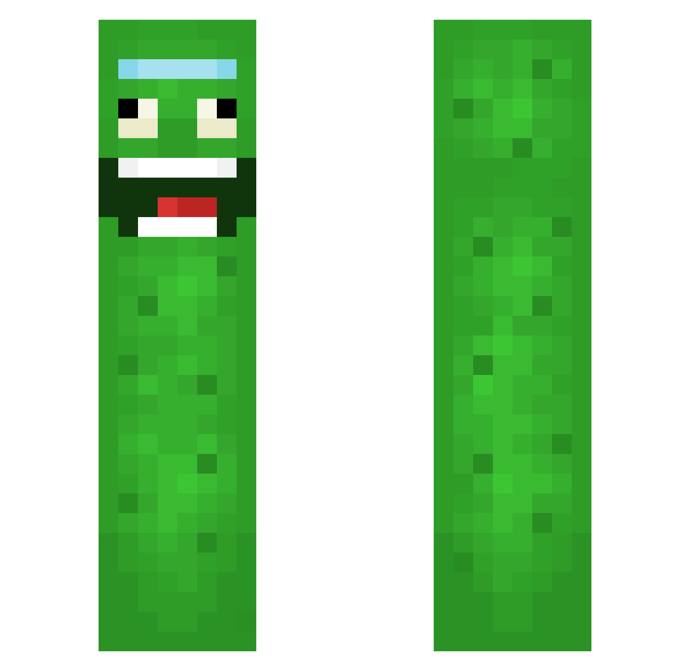 Safricanplague Minecraft skin, front and back view