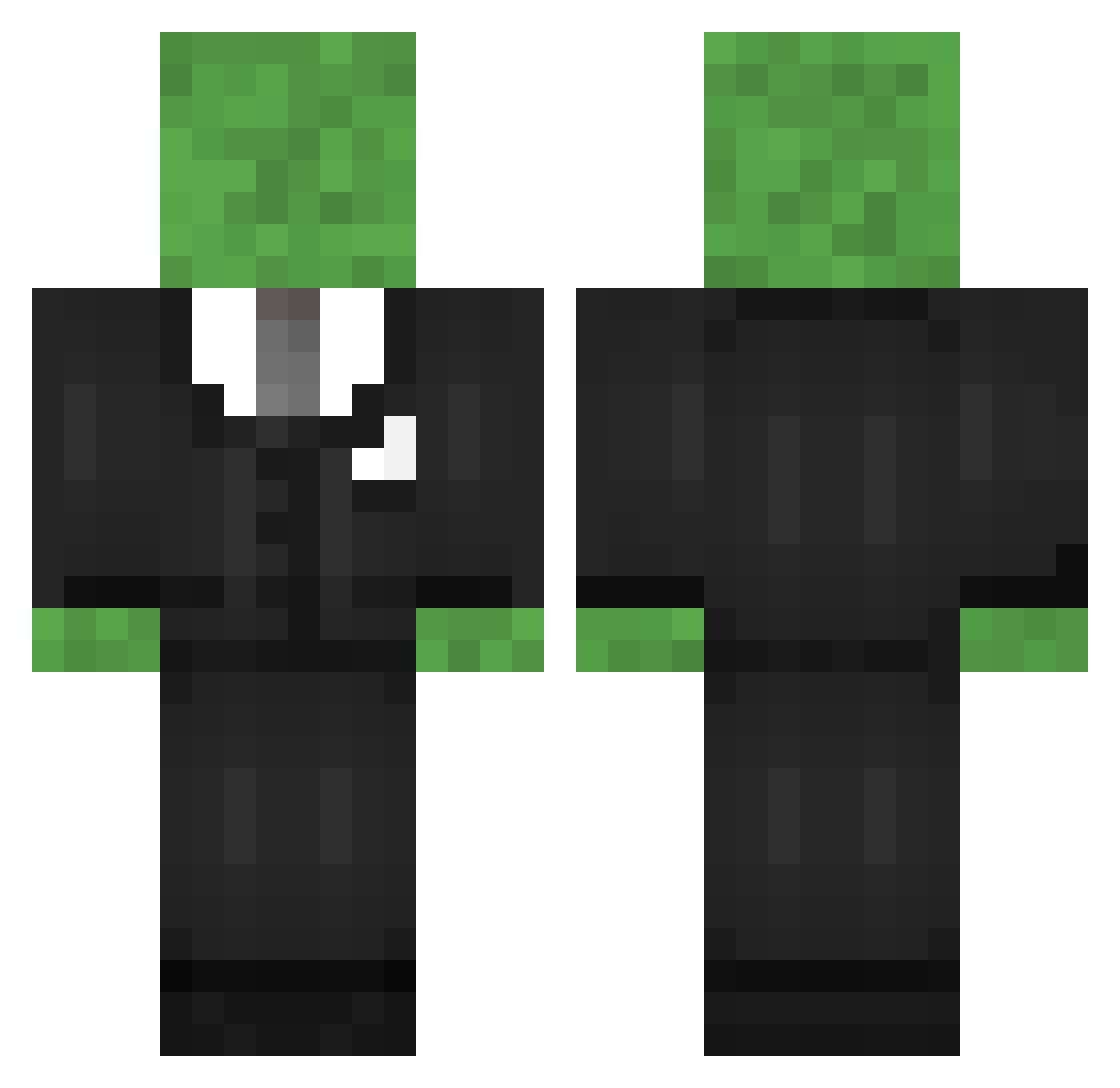 Literalseal Minecraft skin, front and back view