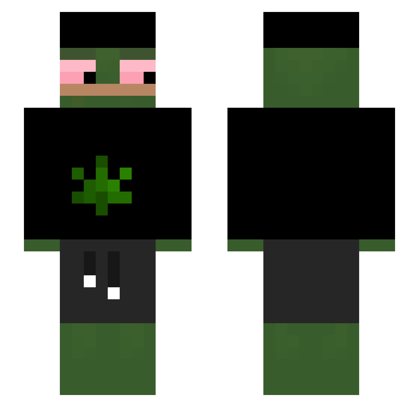 frooknh Minecraft skin, front and back view
