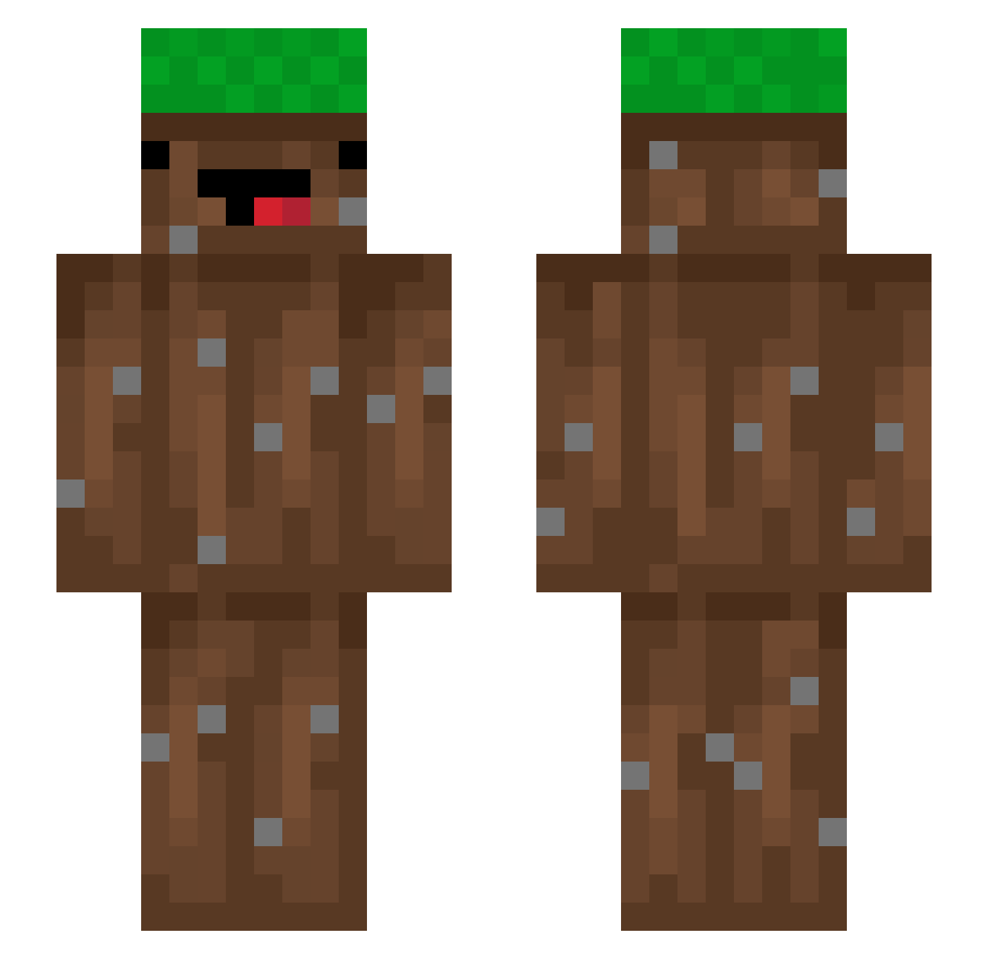 _2_z Minecraft skin, front and back view