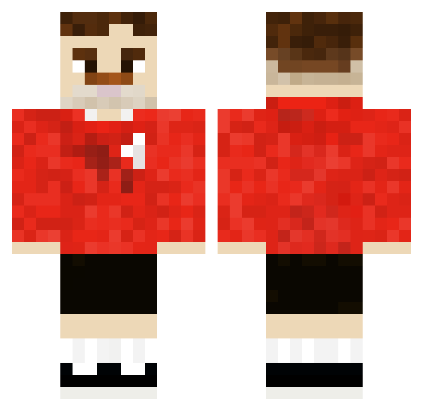 _PLE_ Minecraft skin, front and back view