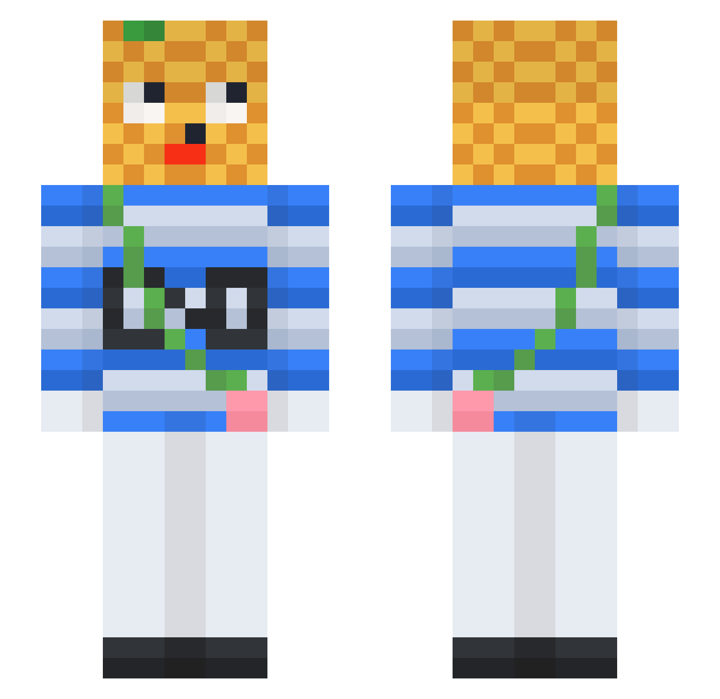 Raindrop21 Minecraft skin, front and back view