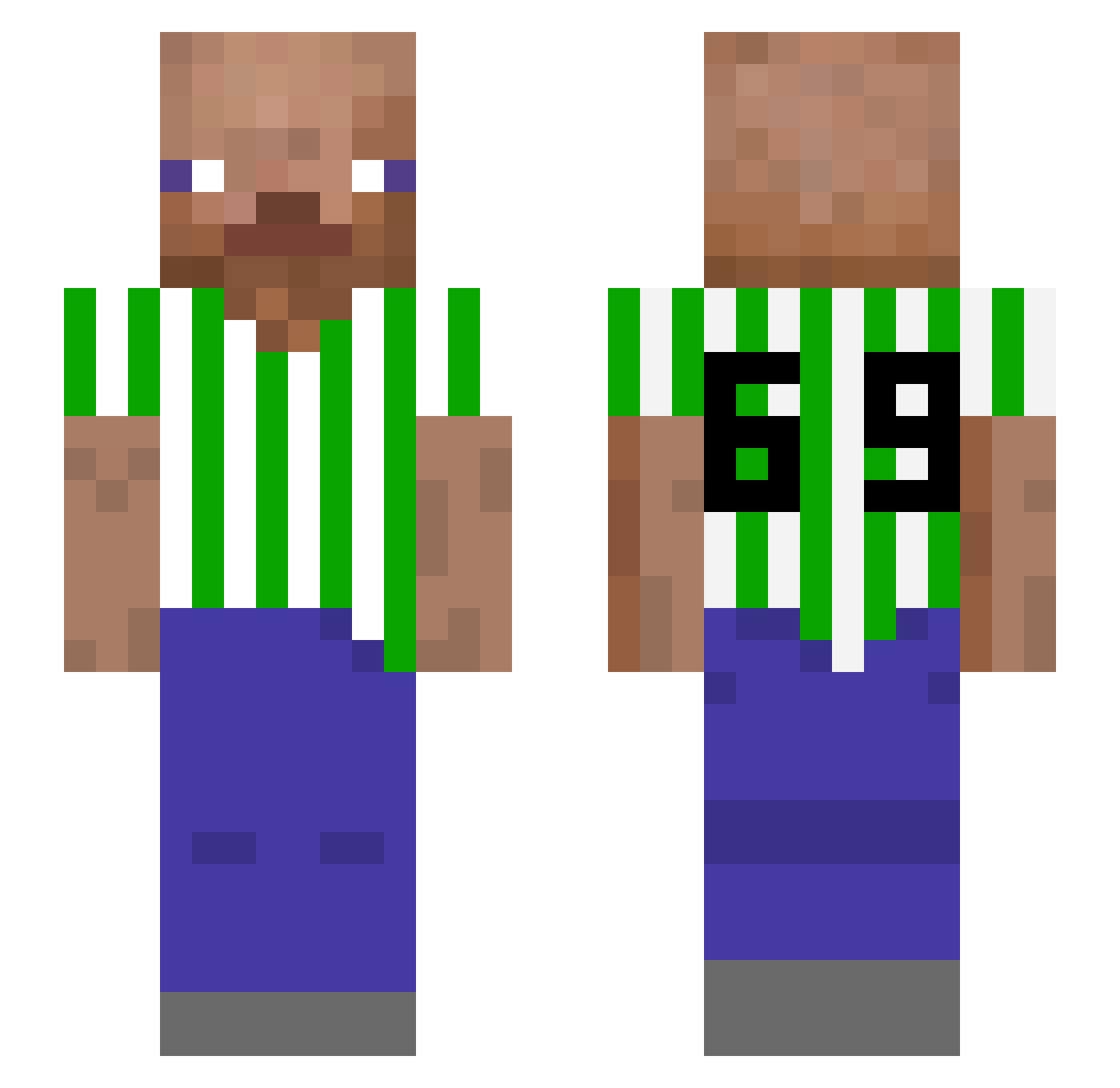 Catalists Minecraft skin, front and back view