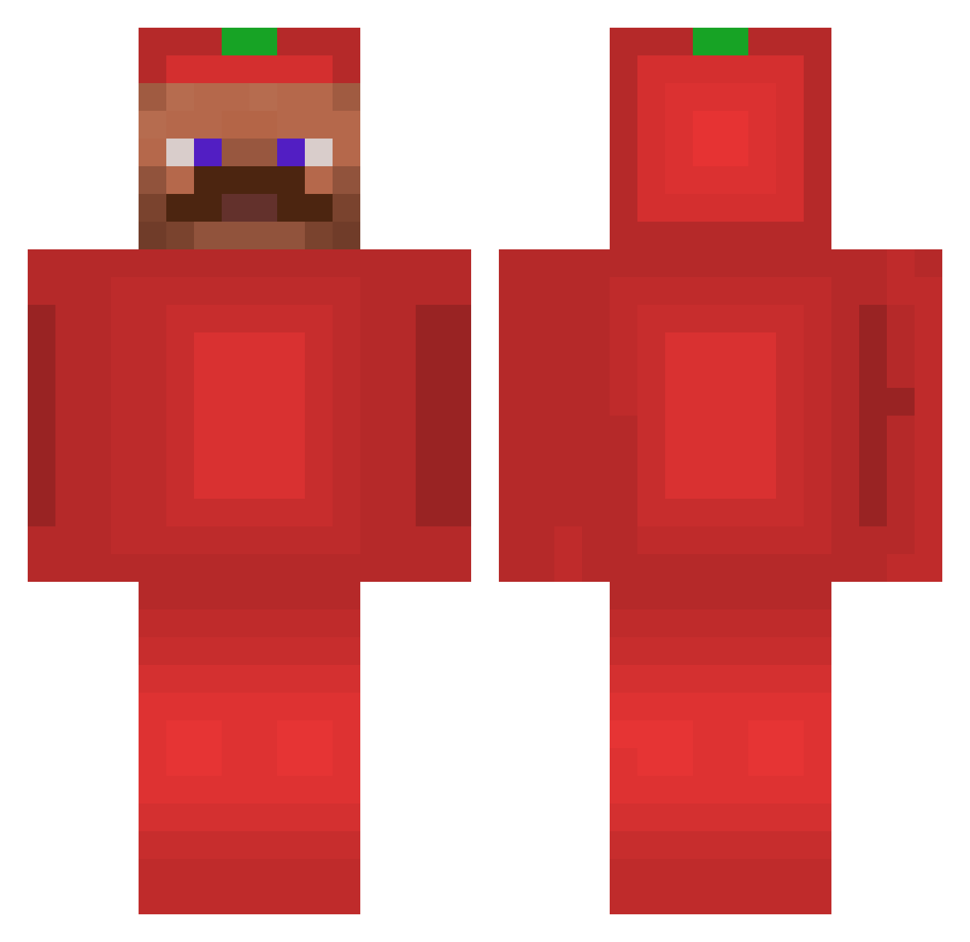 McTS2008 Minecraft skin, front and back view