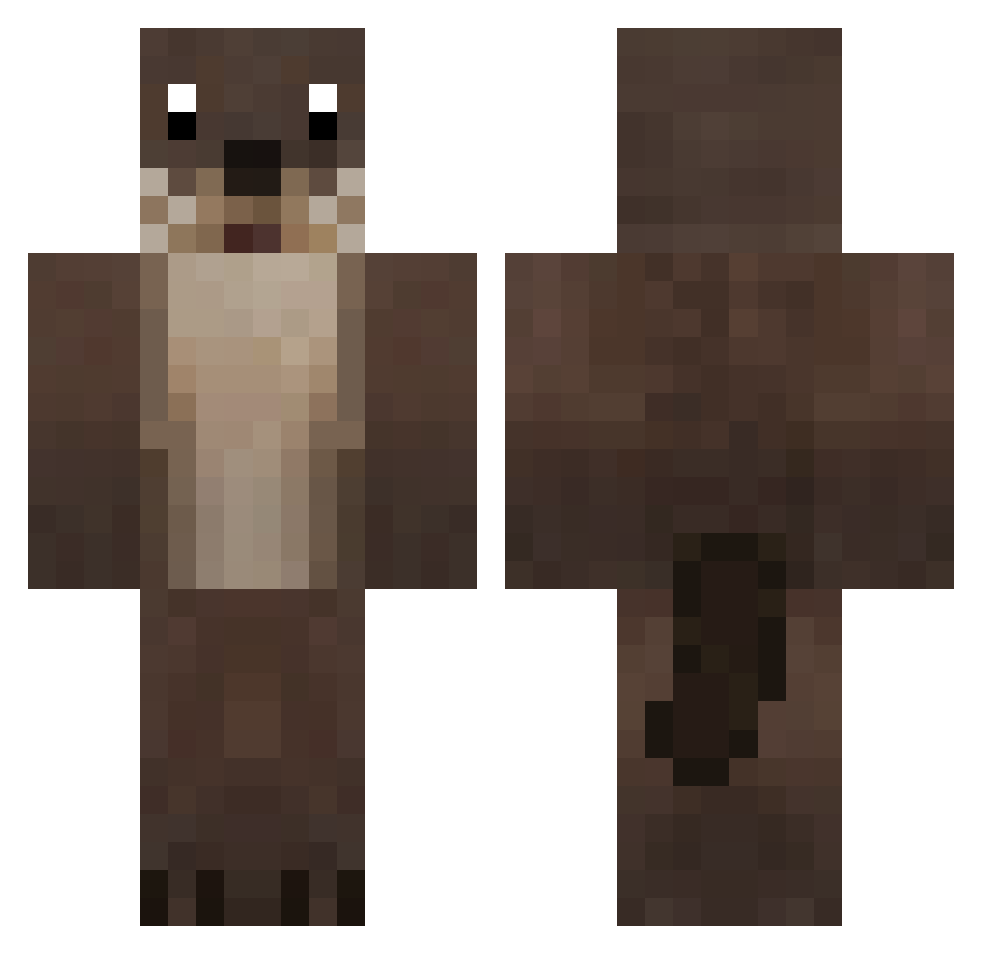 LaAspect Minecraft skin, front and back view