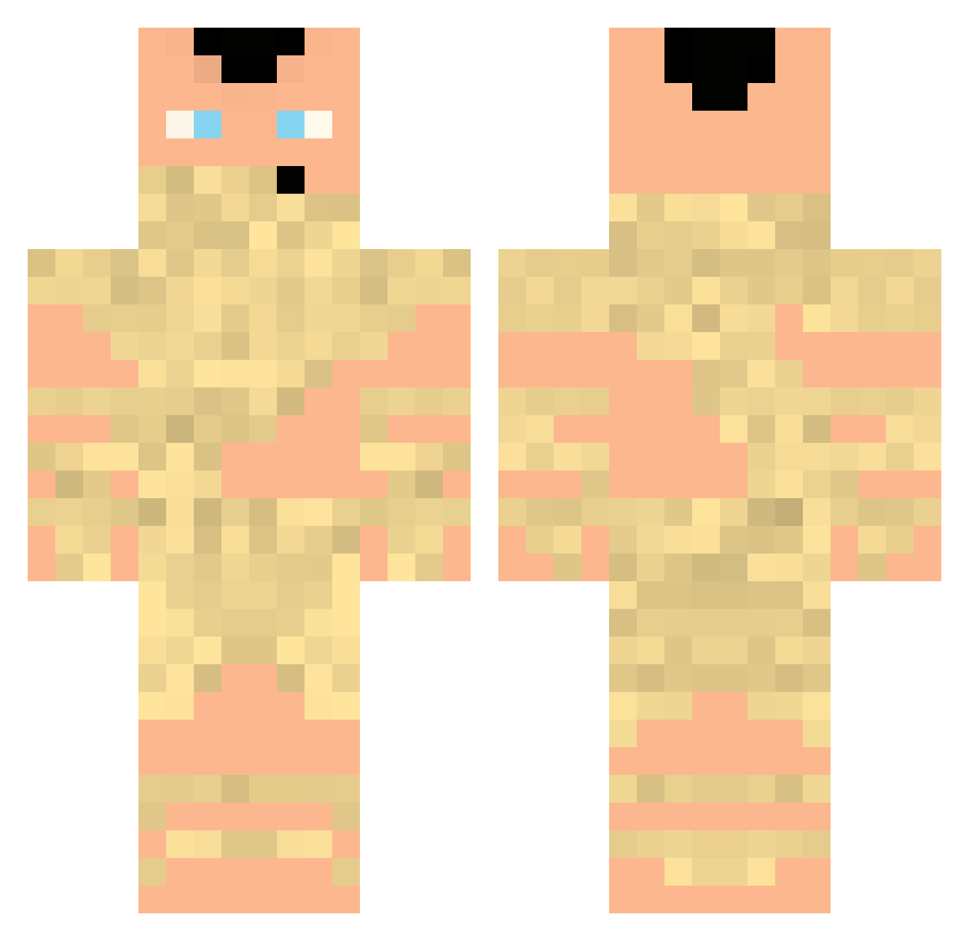 Programer025 Minecraft skin, front and back view