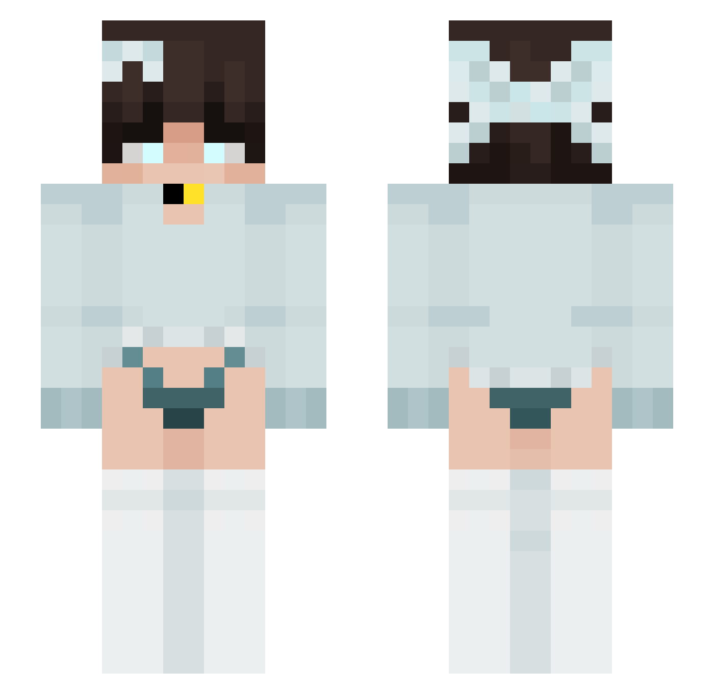 TVTQ Minecraft skin, front and back view