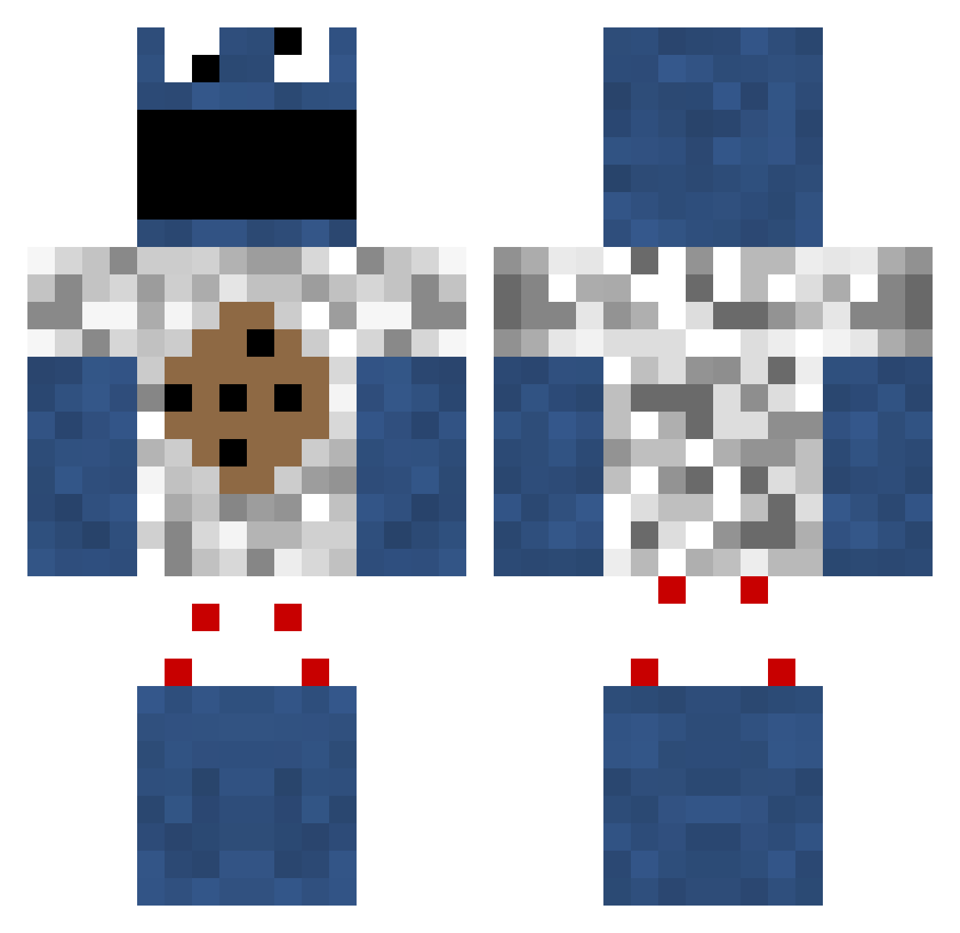 LadiesWasherum Minecraft skin, front and back view