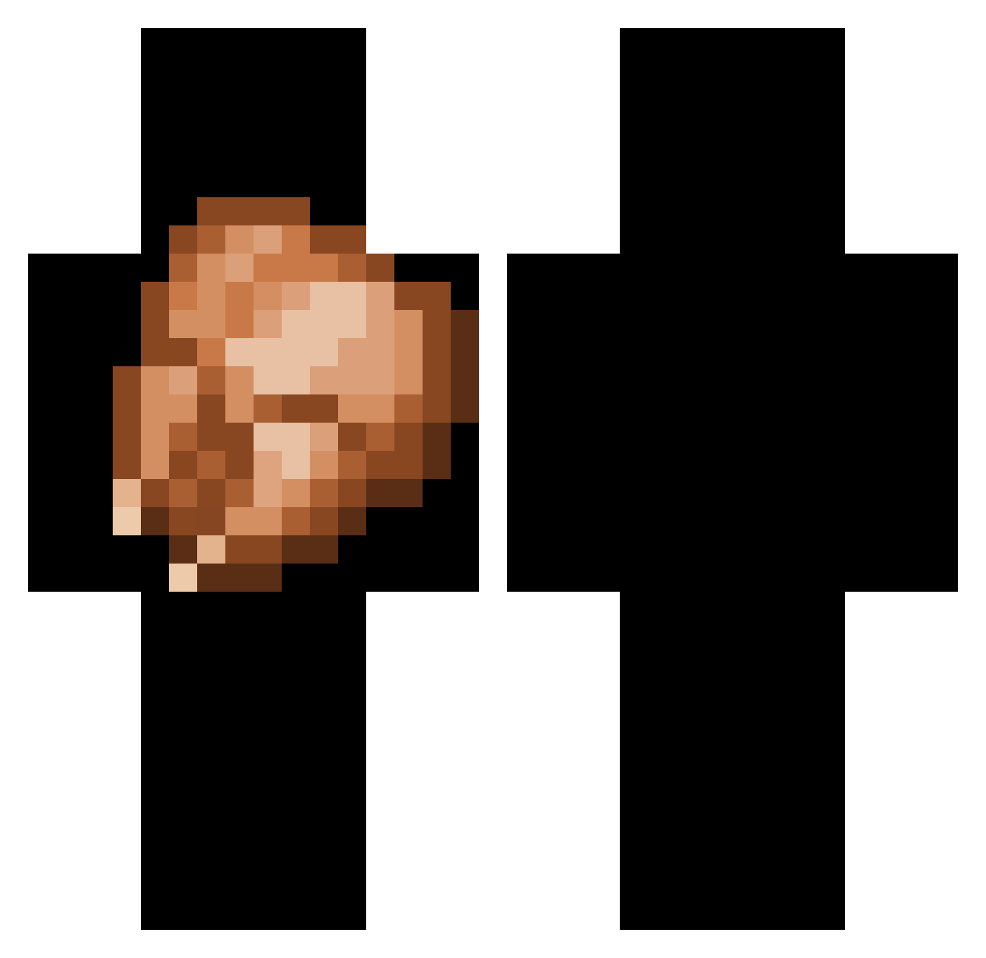 Penguis Minecraft skin, front and back view