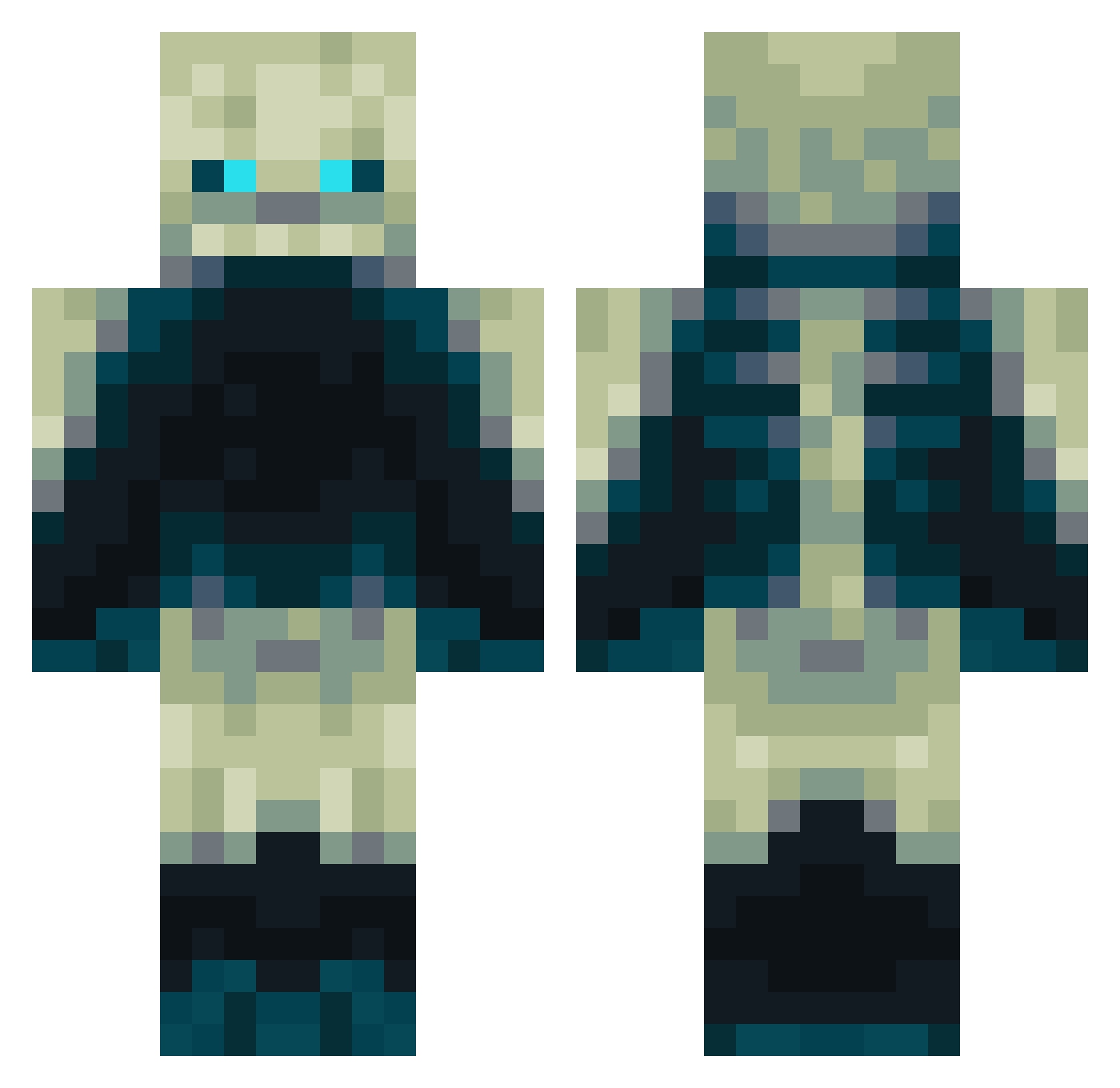 plantsplayer31 Minecraft skin, front and back view