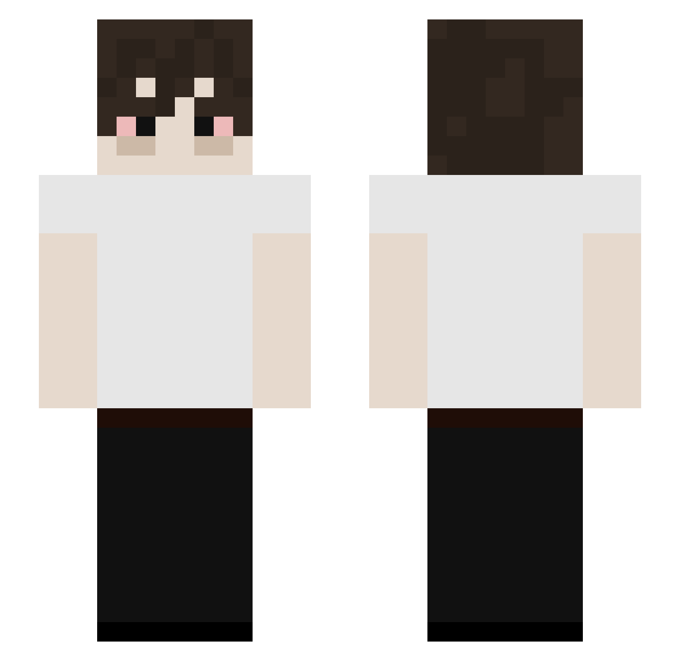 venesian Minecraft skin, front and back view