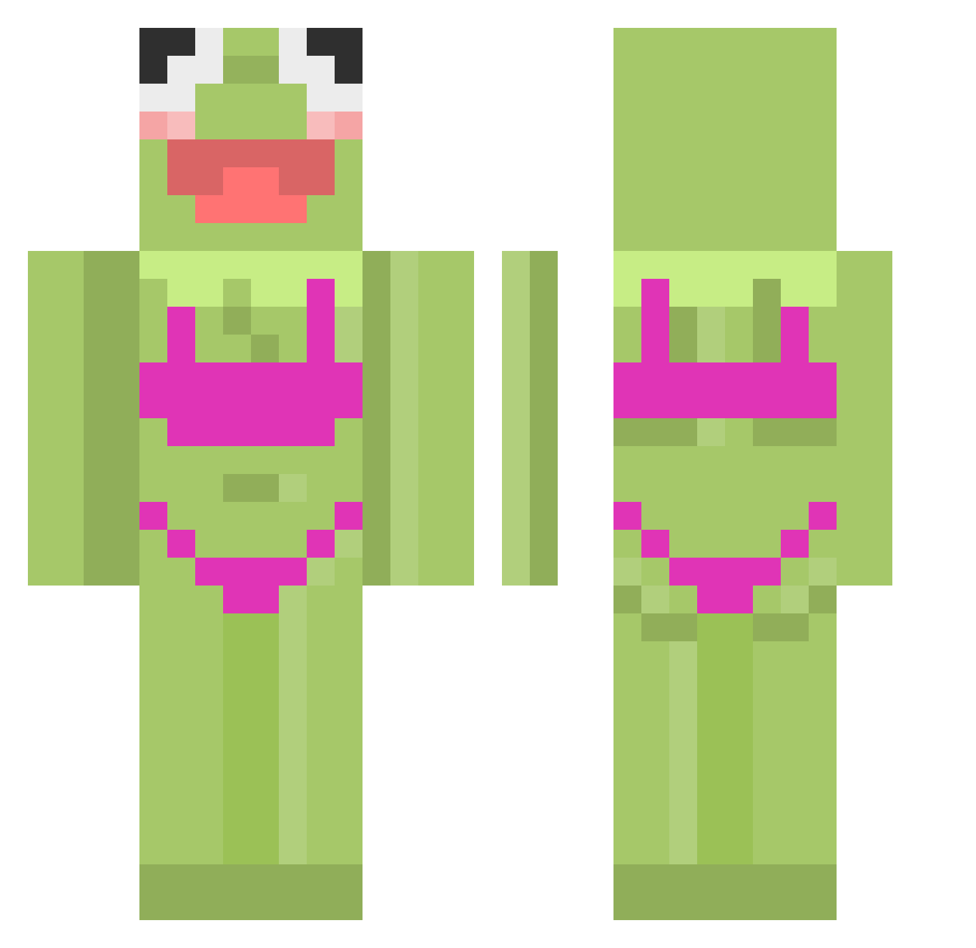 mr_frogi2402 Minecraft skin, front and back view