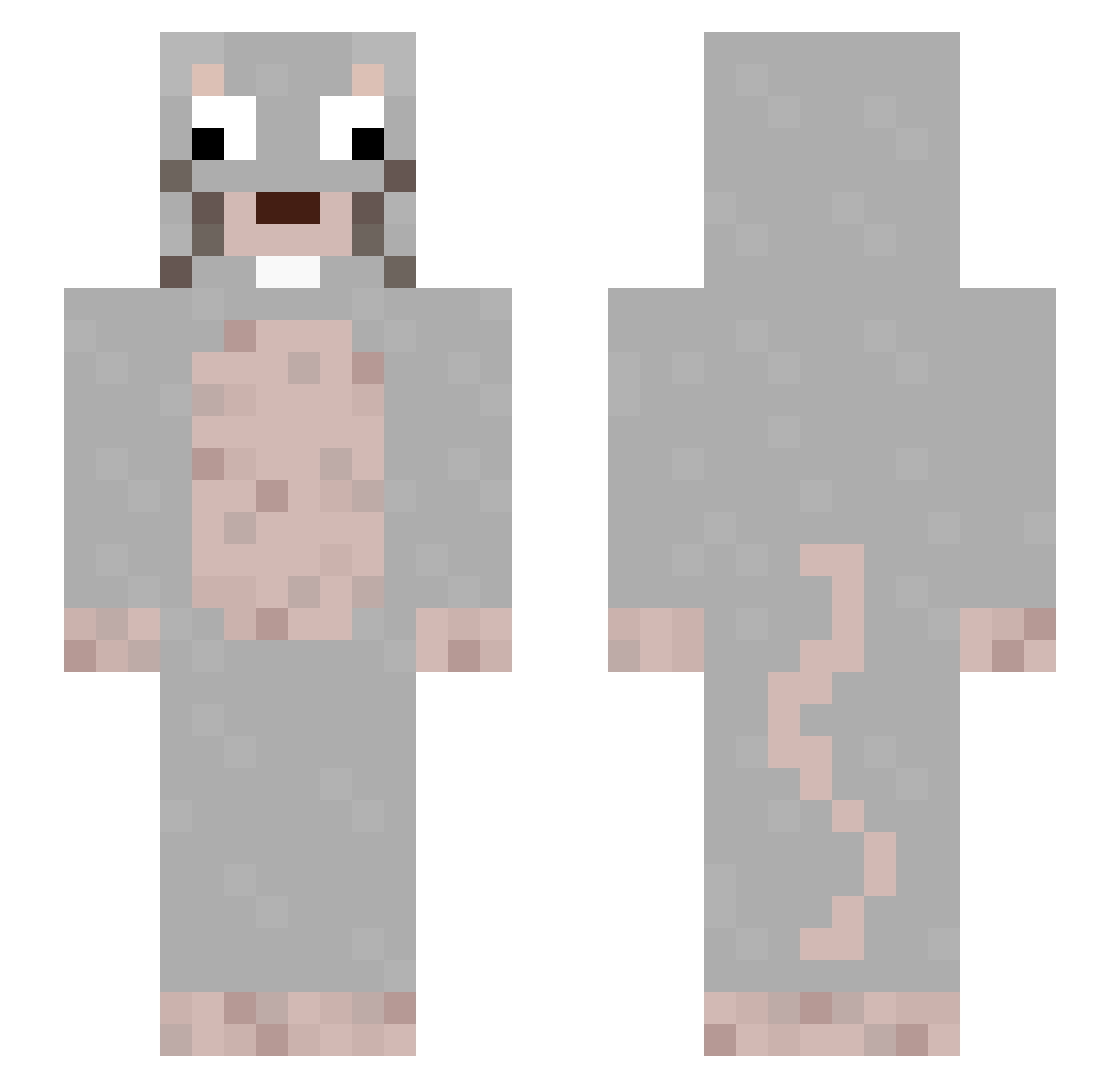 schistus Minecraft skin, front and back view