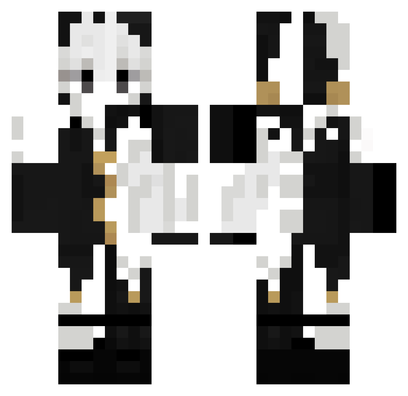 Xetronex Minecraft skin, front and back view