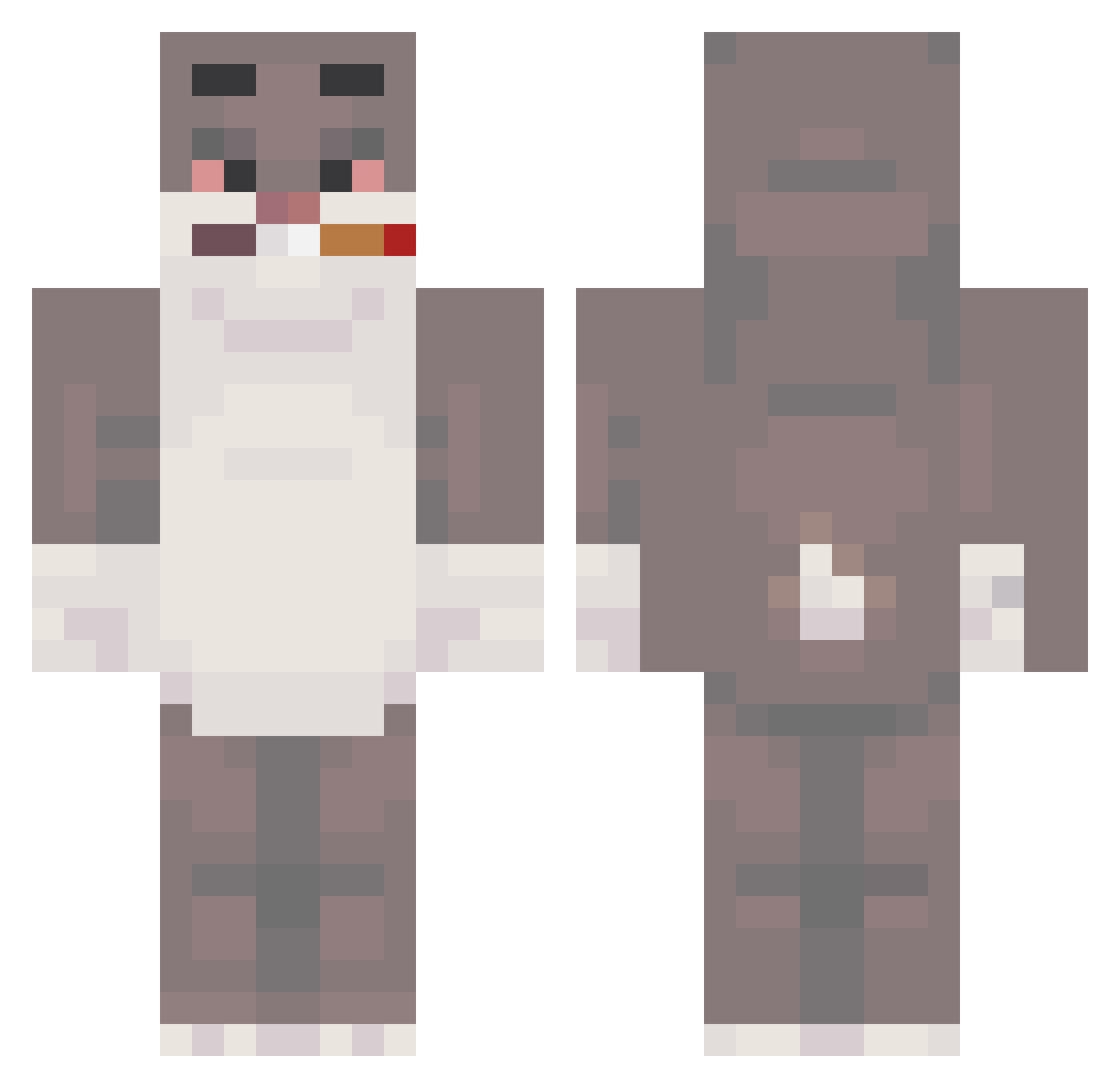 sjkunkel27 Minecraft skin, front and back view