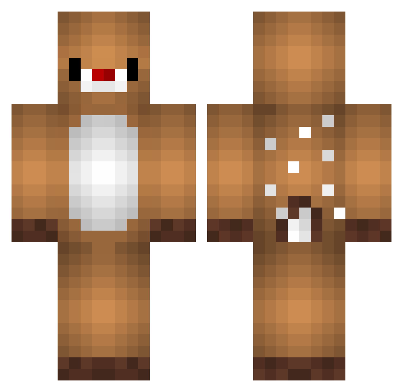 ReninhaS Minecraft skin, front and back view