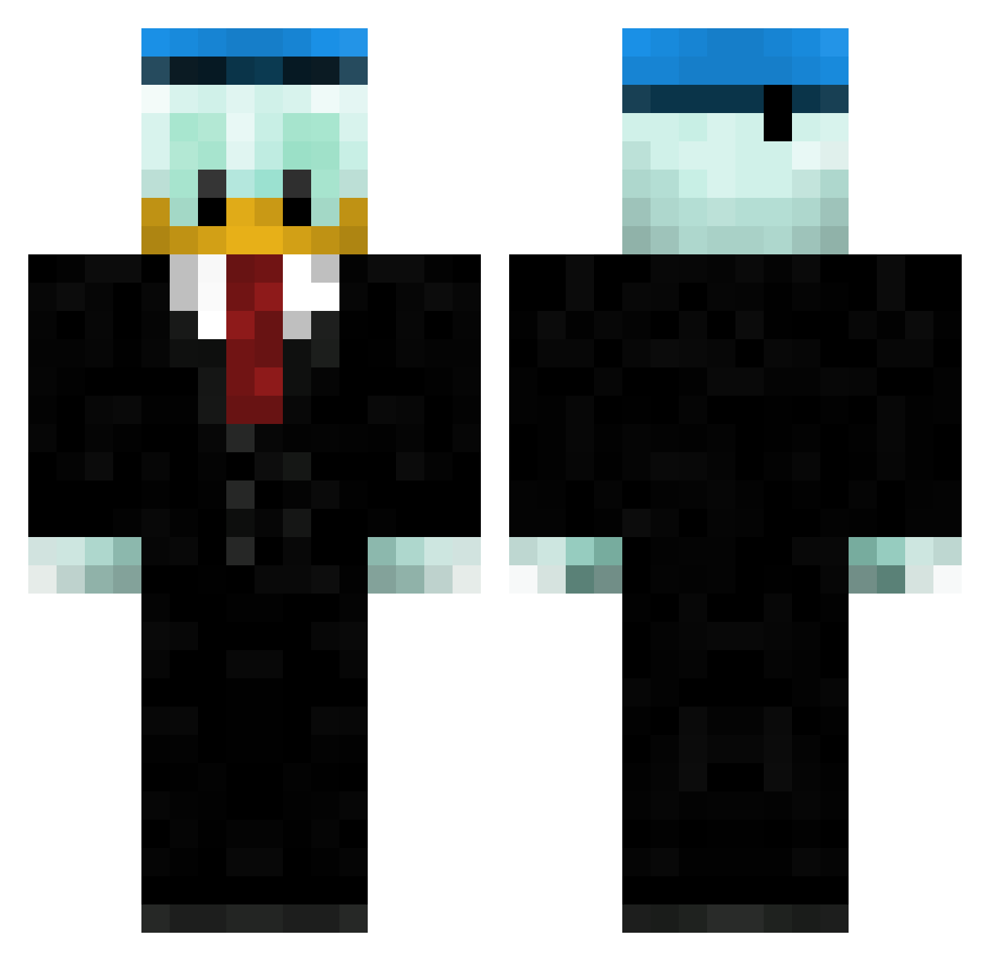 Paralyzation Minecraft skin, front and back view